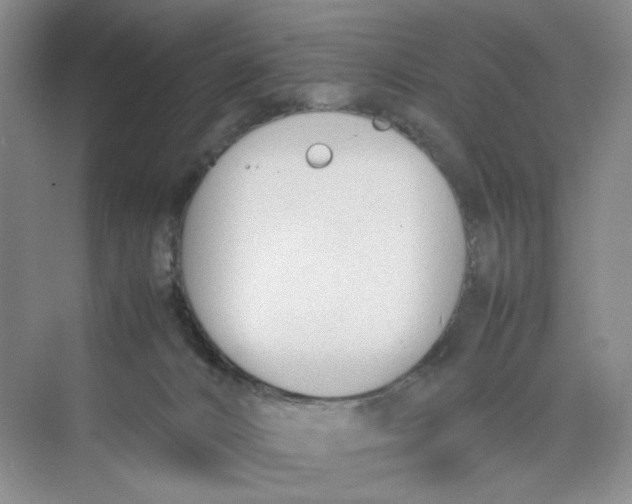 X0000074330032200609230104