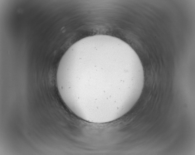 X0000074330034200609230104