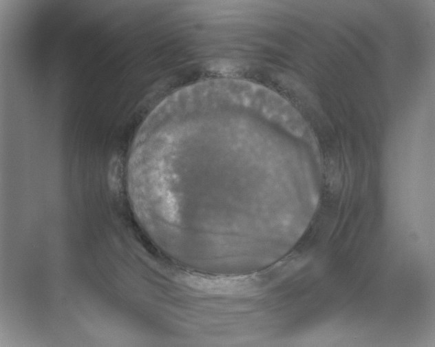 X0000074330036200609230104