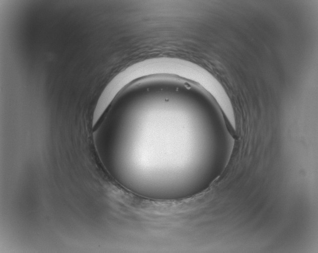 X0000074330037200609230104