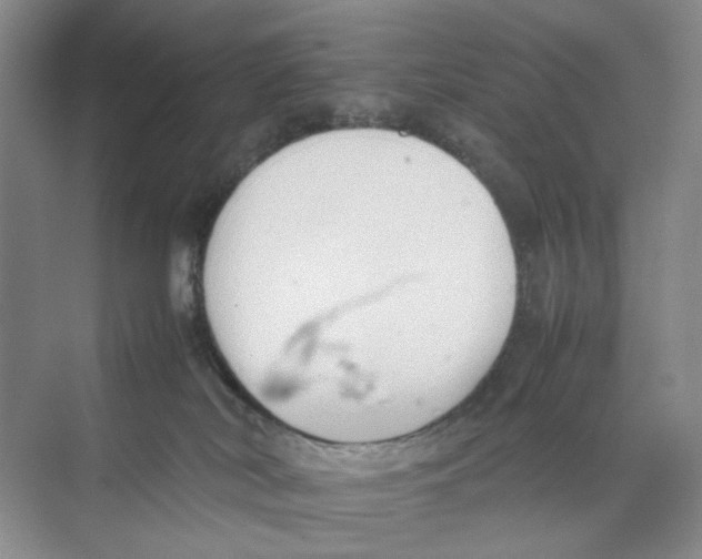 X0000074330038200609230104