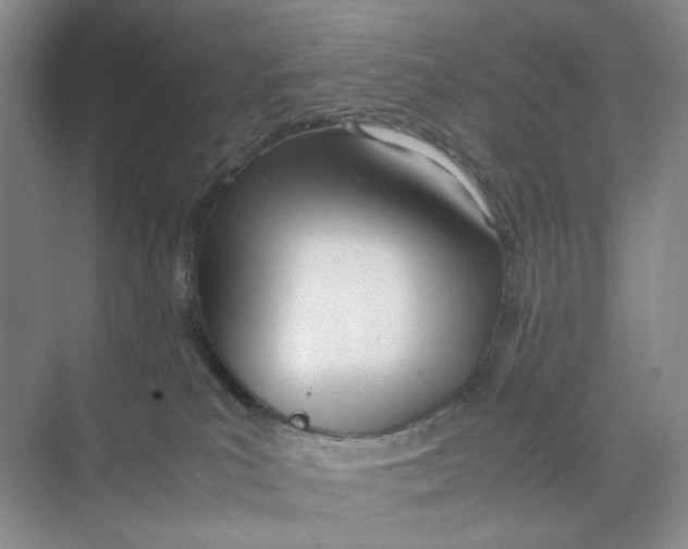 X0000074330039200609230104