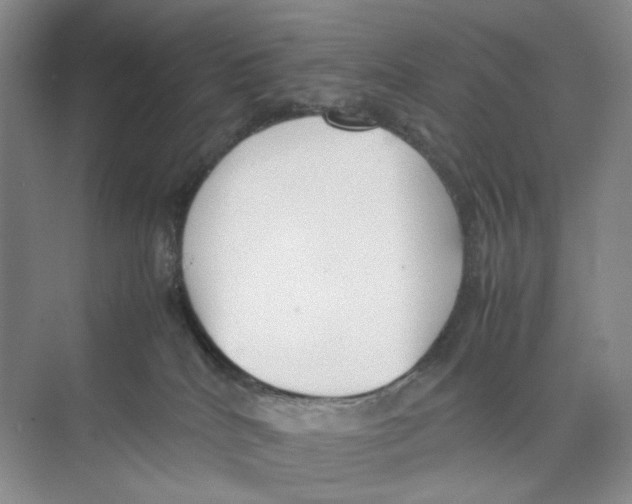 X0000074330040200609230104