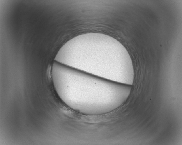 X0000074330041200609230104