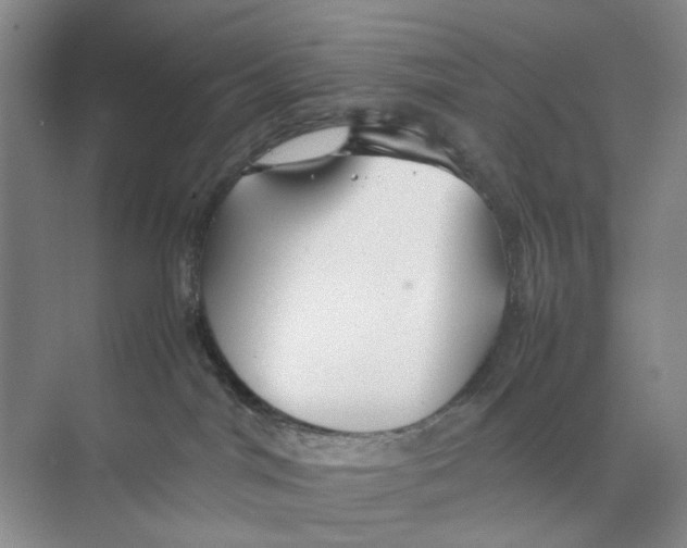 X0000074330044200609230103