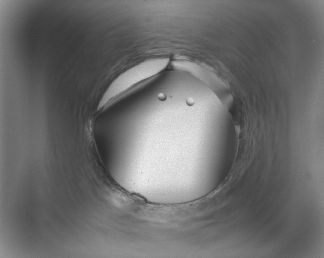 X0000074330045200609230103