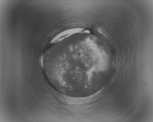 X0000074330047200609230103