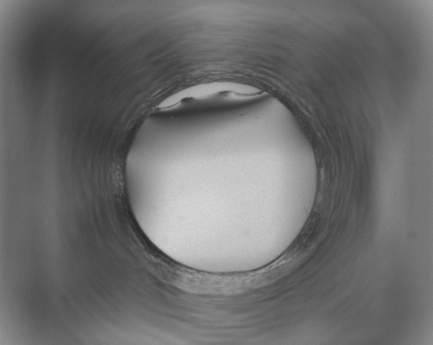 X0000074330048200609230103