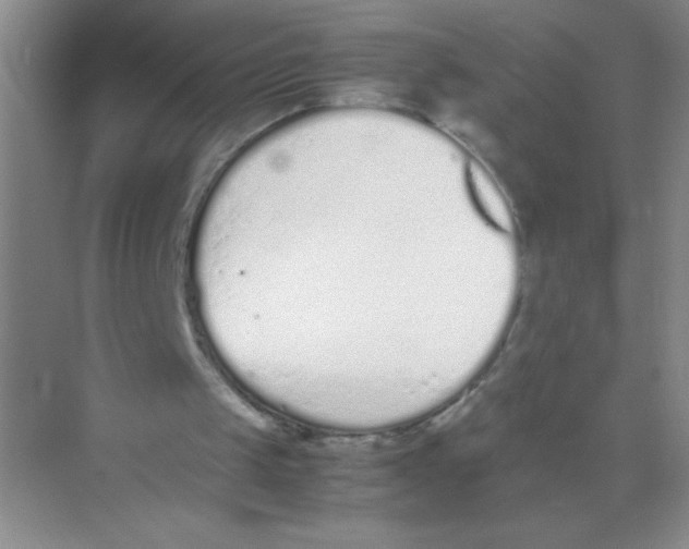 X0000074330049200609230103