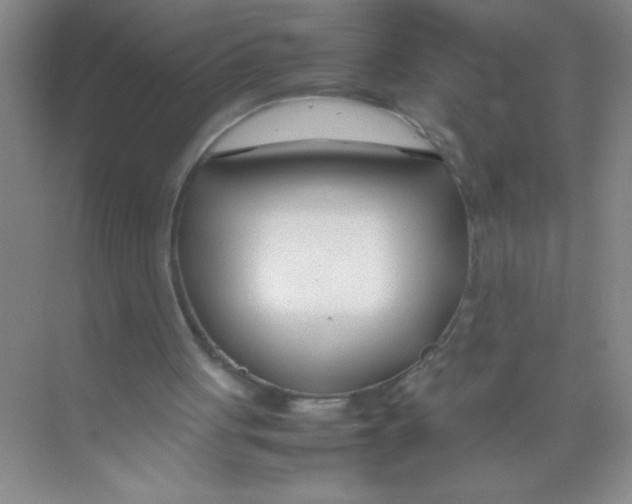 X0000074330051200609230103