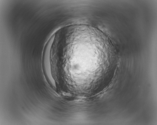 X0000074330052200609230103