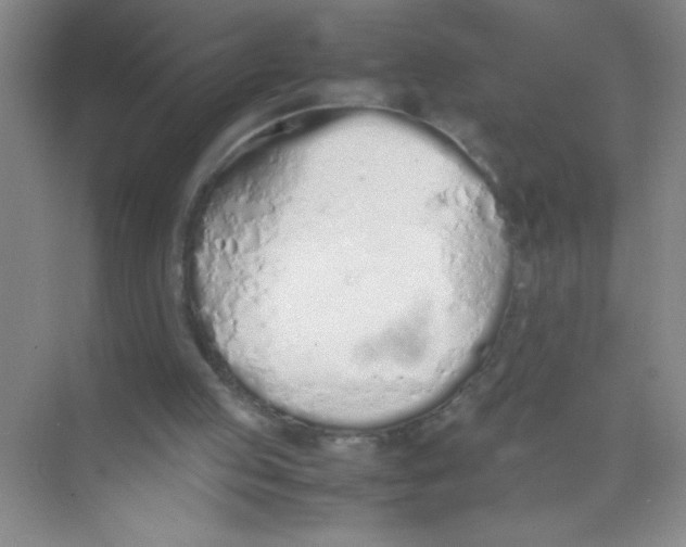 X0000074330053200609230103