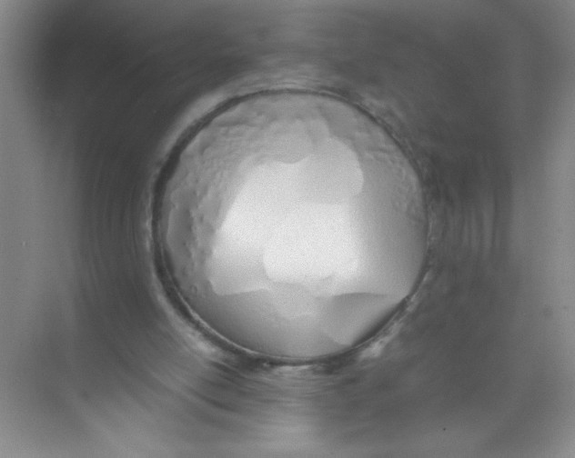 X0000074330054200609230103