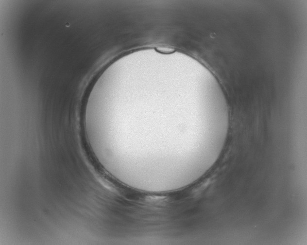 X0000074330055200609230103