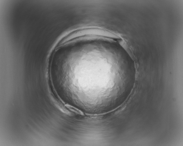 X0000074330056200609230103