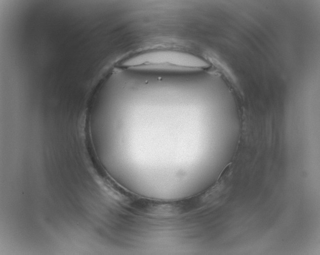 X0000074330058200609230103