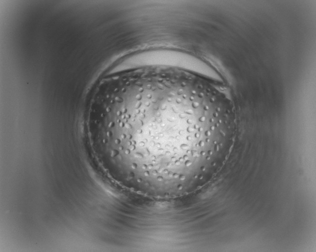 X0000074330060200609230103