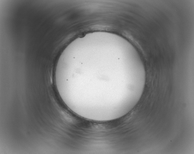 X0000074330062200609230103