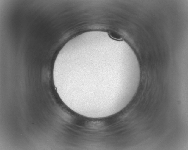 X0000074330063200609230103