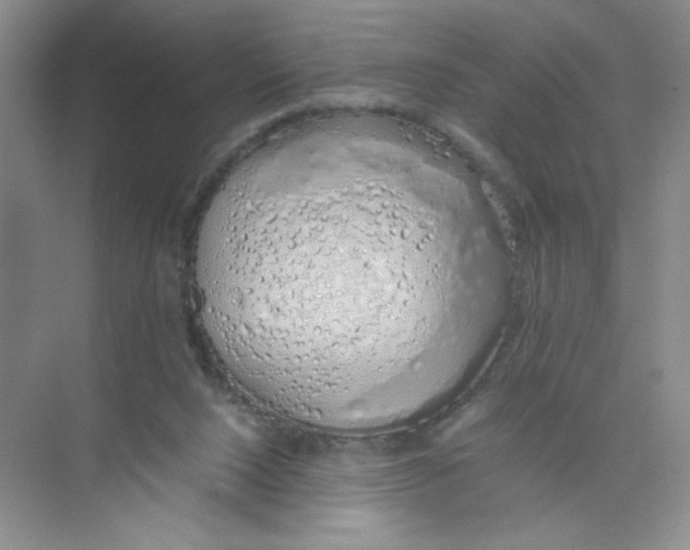 X0000074330064200609230103