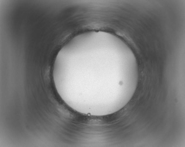 X0000074330066200609230103