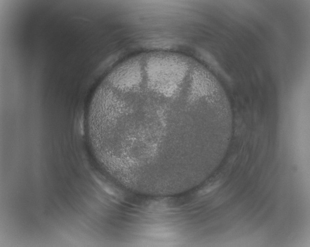 X0000074330068200609230103