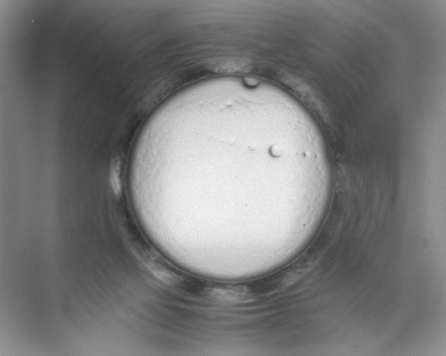 X0000074330069200609230103