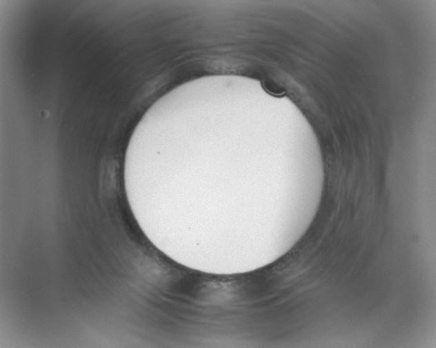 X0000074330071200609230103