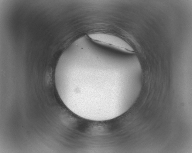 X0000074330073200609230103