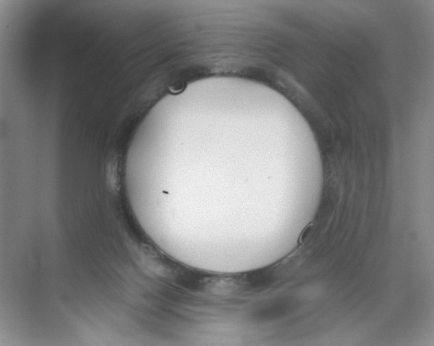 X0000074330074200609230103