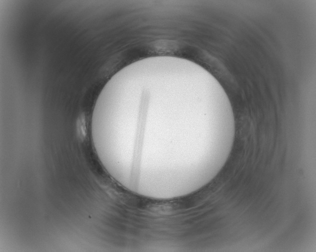 X0000074330075200609230103