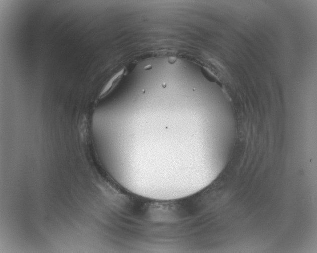 X0000074330077200609230103