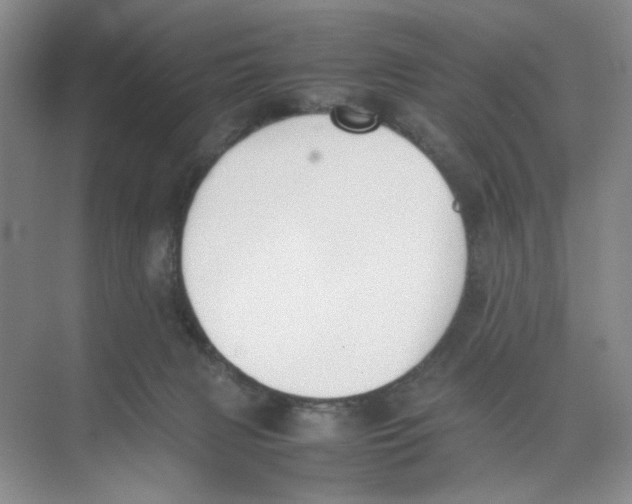 X0000074330079200609230103