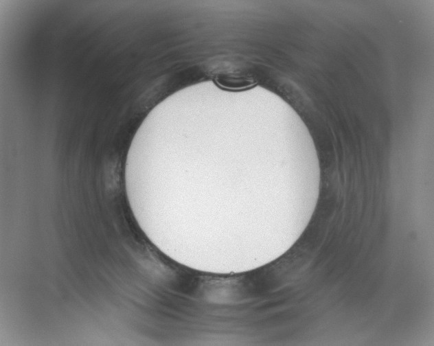 X0000074330081200609230103