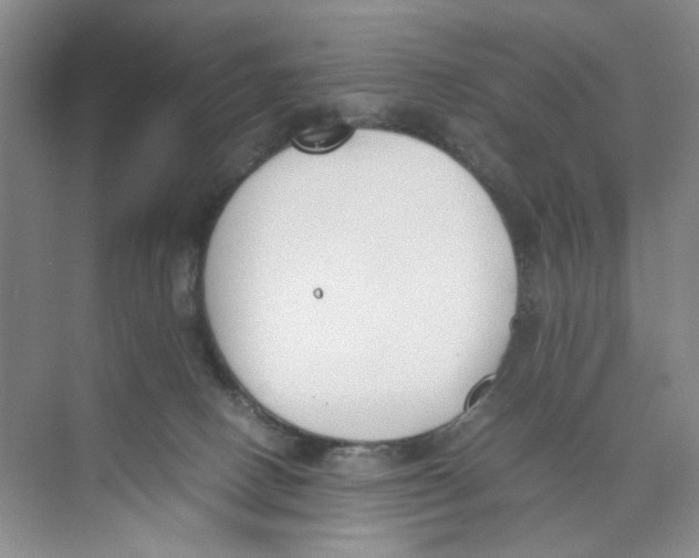 X0000074330082200609230103