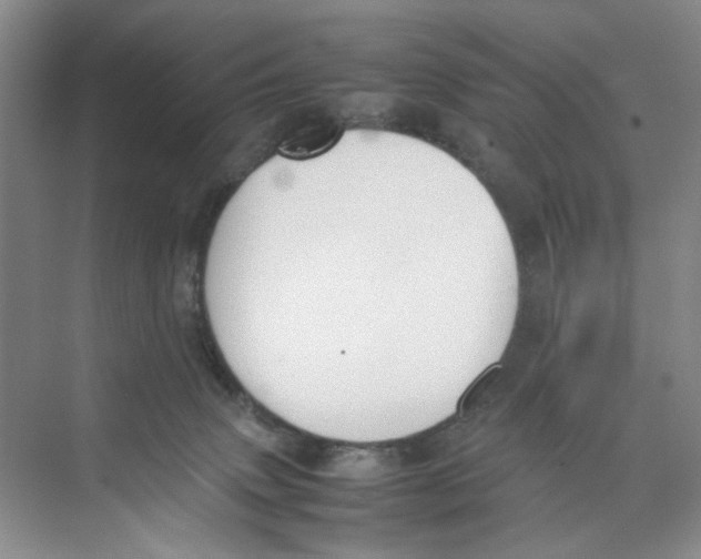 X0000074330083200609230103