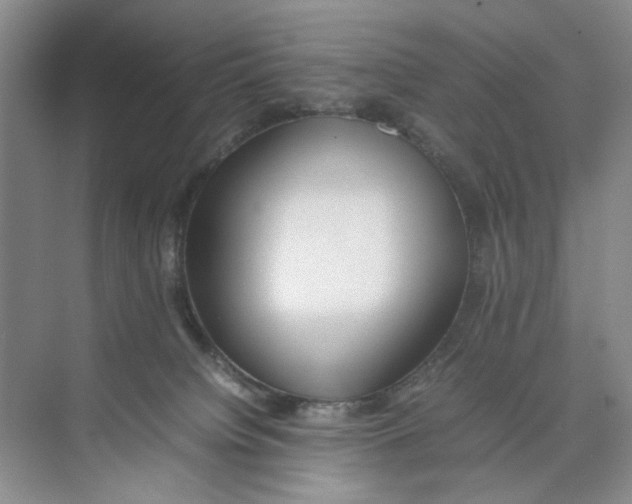 X0000074330084200609230103