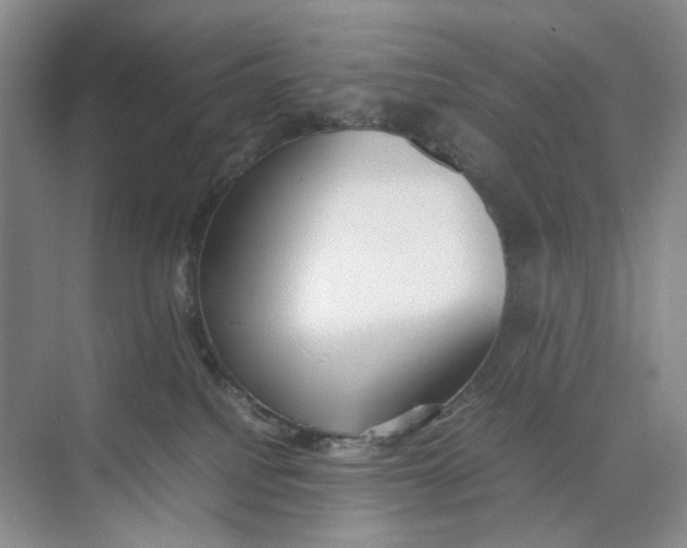 X0000074330088200609230103