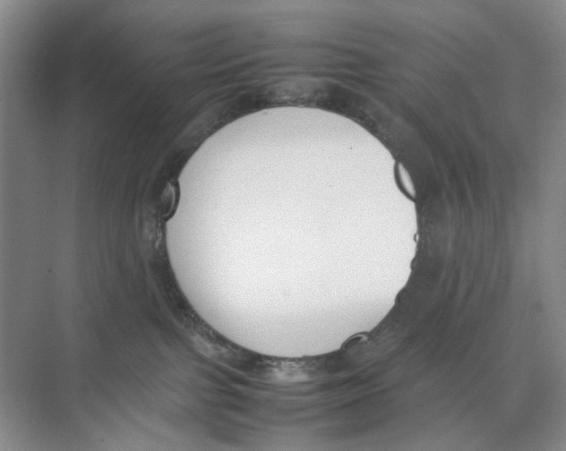 X0000074330091200609230103