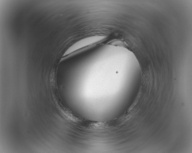 X0000074330092200609230103