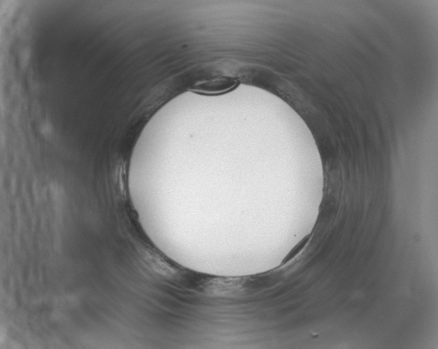 X0000074330094200609230103