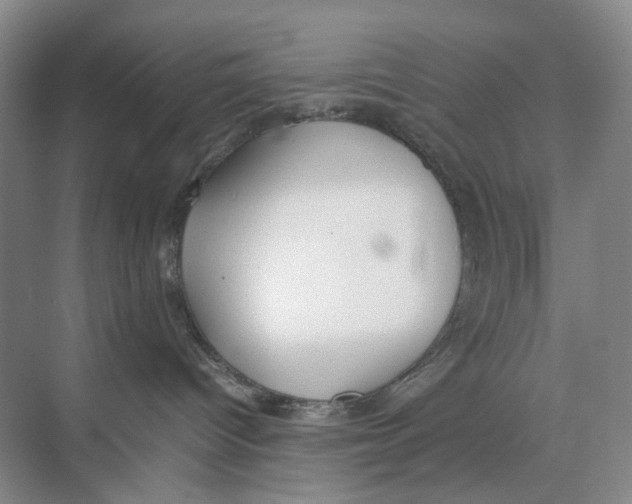 X0000074330096200609230103