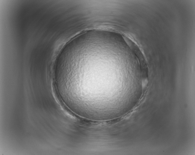 X0000074330097200609230103