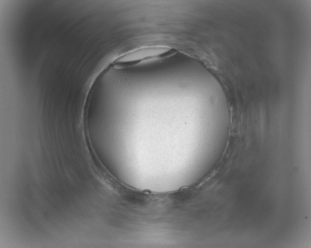 X0000074330099200609230103