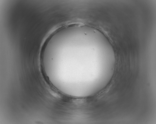 X0000074330102200609230102