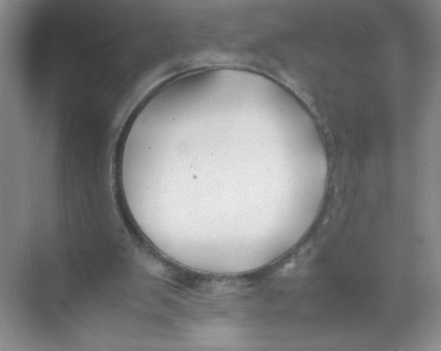 X0000074330103200609230102