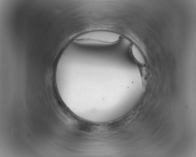 X0000074330107200609230102