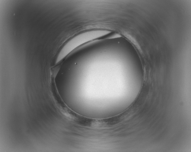 X0000074330109200609230102