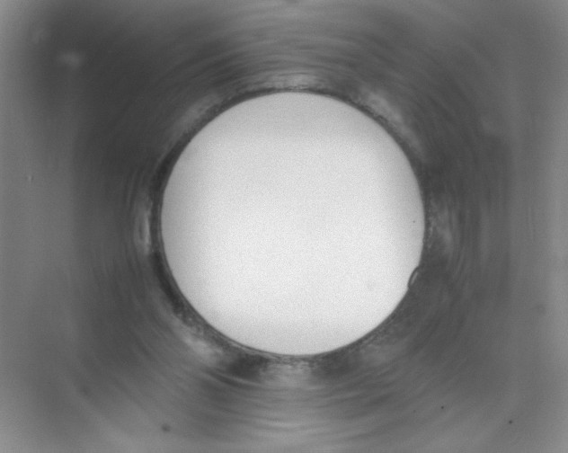 X0000074330110200609230102