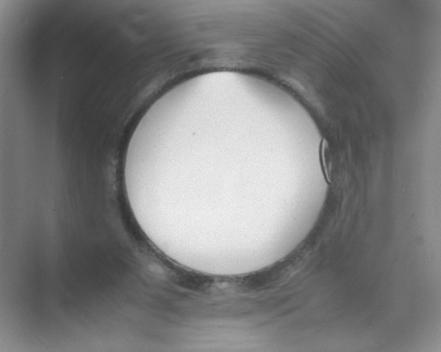 X0000074330111200609230102